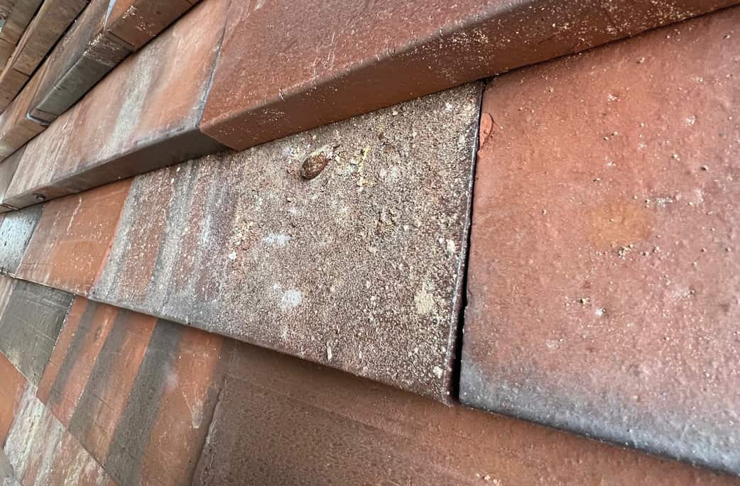 Das Close-up einer CRADLETOP Fassade zeigt den Variantenreichtum der Oberfläche